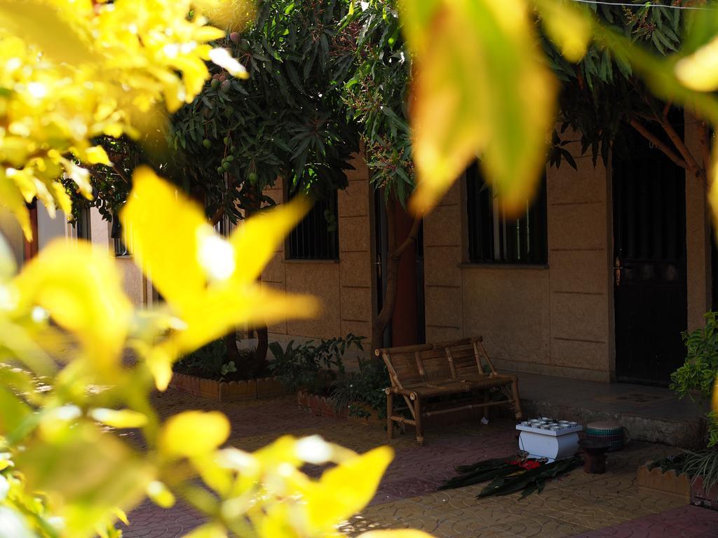 Manuhie Backpackers Lodge Bahir Dar Room photo