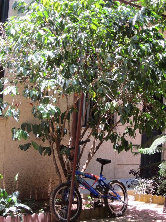 Manuhie Backpackers Lodge Bahir Dar Exterior photo